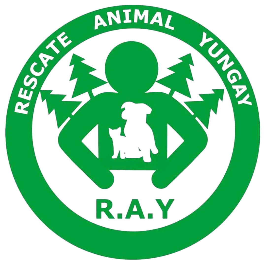 Rescate Animal Yungay