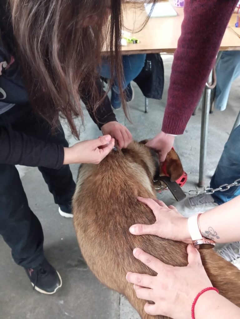 WhatsApp Image 2025-10-04 at 19.36.17 (1)