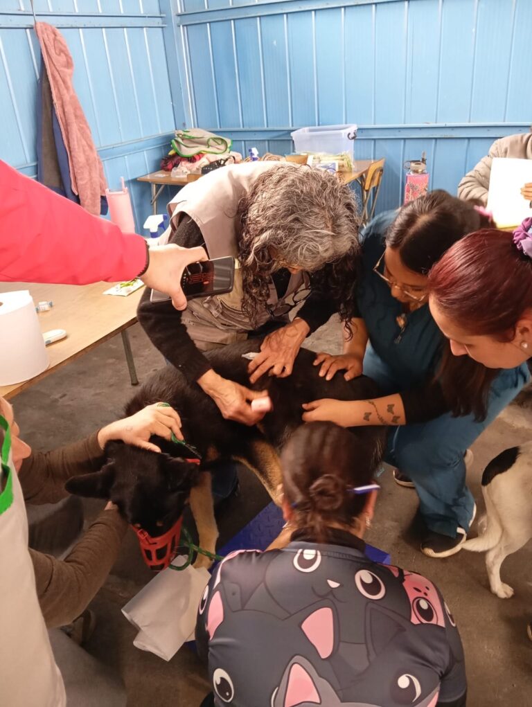 WhatsApp Image 2025-10-04 at 19.36.17 (2)