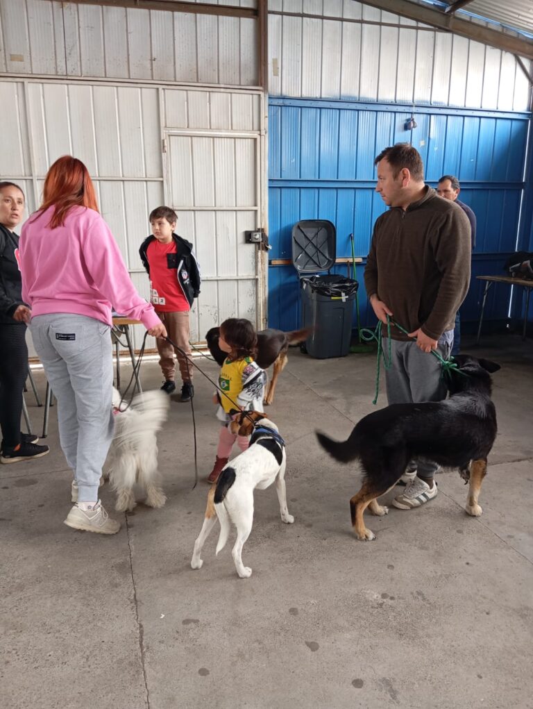 WhatsApp Image 2025-10-04 at 19.36.17