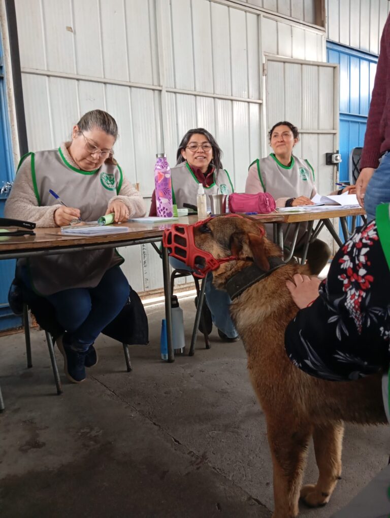 WhatsApp Image 2025-10-04 at 19.36.20