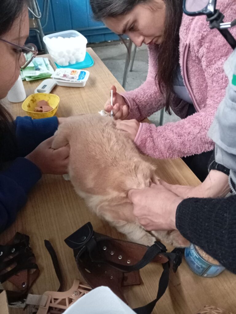 WhatsApp Image 2025-10-04 at 19.36.22