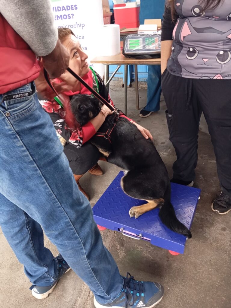 WhatsApp Image 2025-10-04 at 19.36.23 (1)