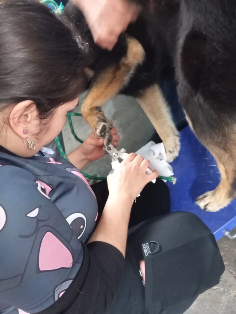 WhatsApp Image 2025-10-04 at 19.36.24 (1)