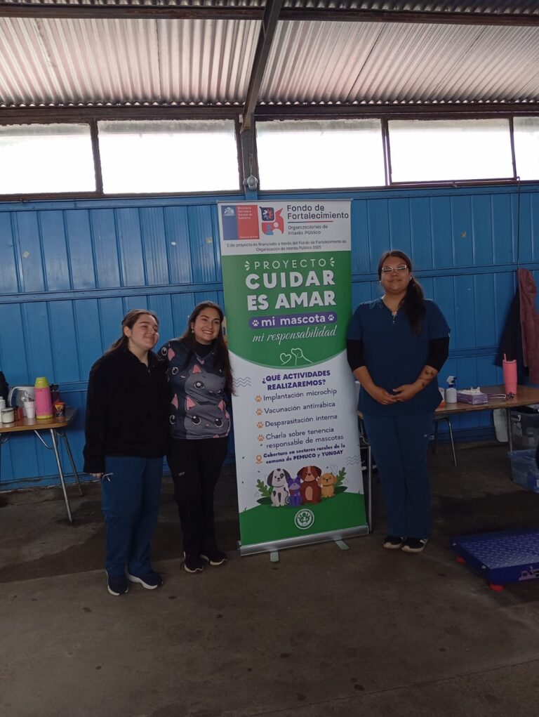 WhatsApp Image 2025-10-04 at 19.36.24 (2)